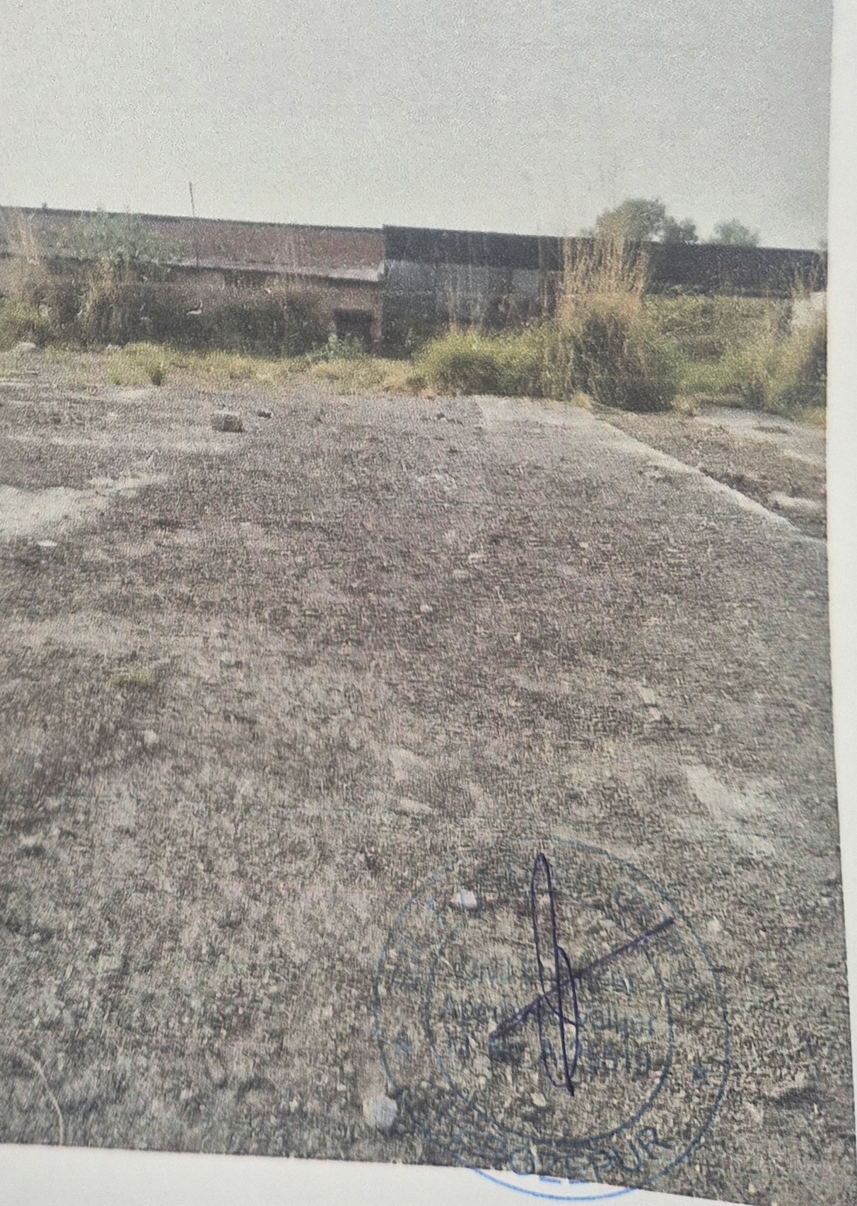 9745 square yard Plot for sale in KOTAKPURA Kotkapura — photo 2