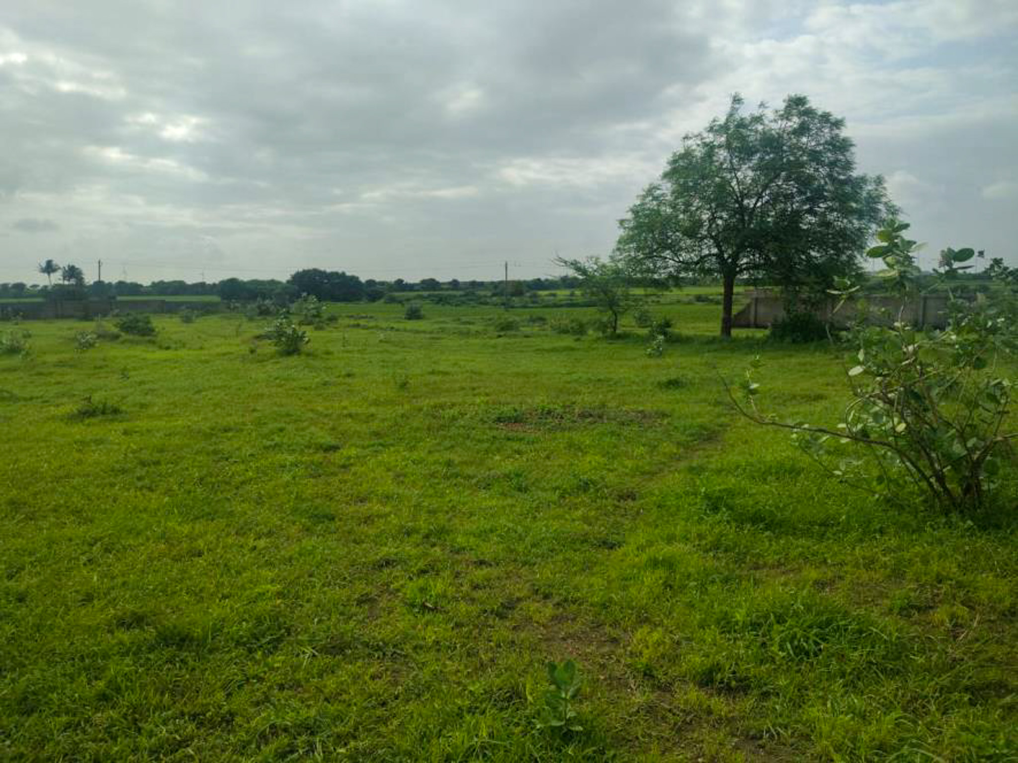 Individual House for sale in JAMNAGAR Jamnagar — photo 5