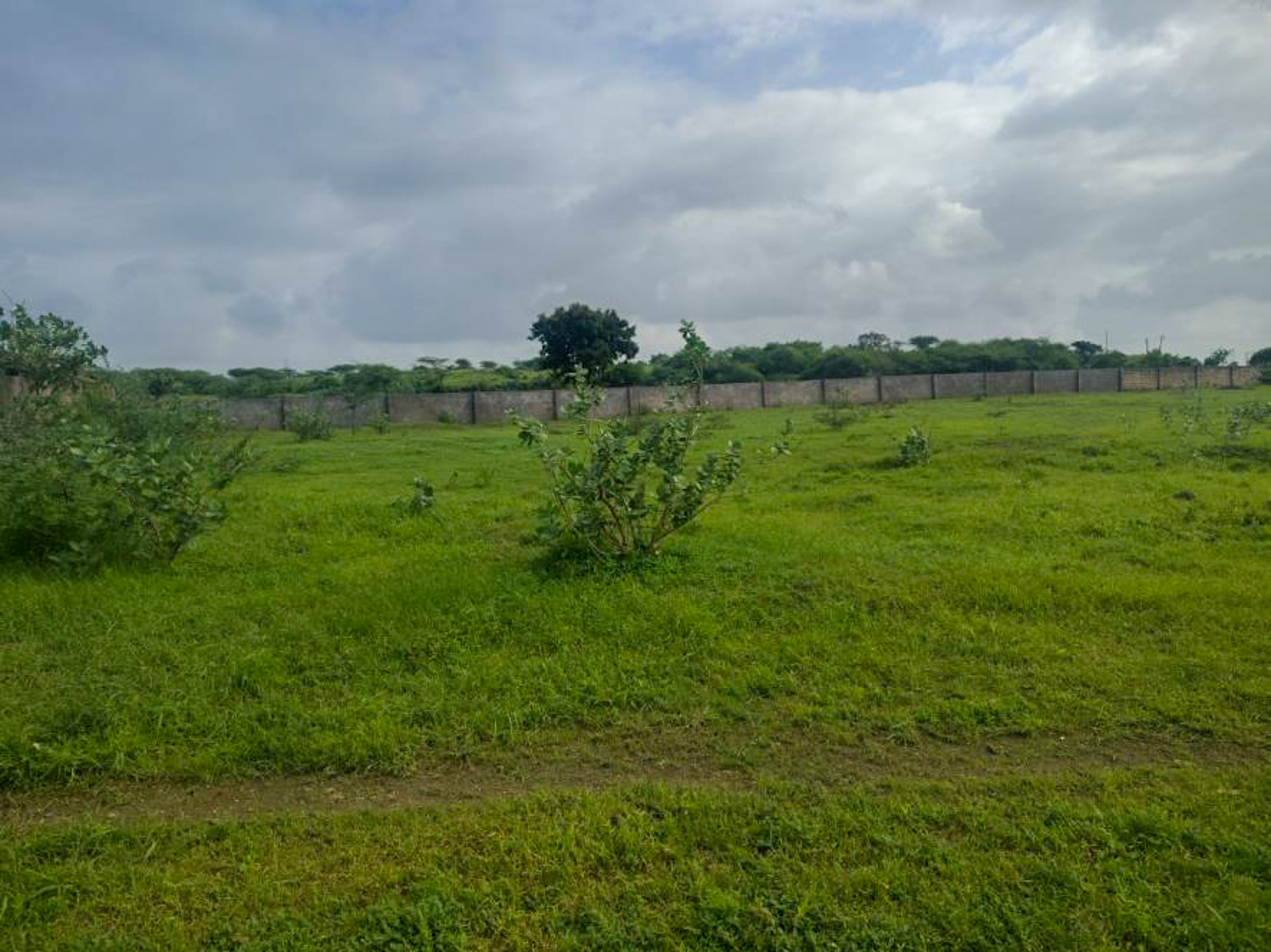 Individual House for sale in JAMNAGAR Jamnagar — photo 3