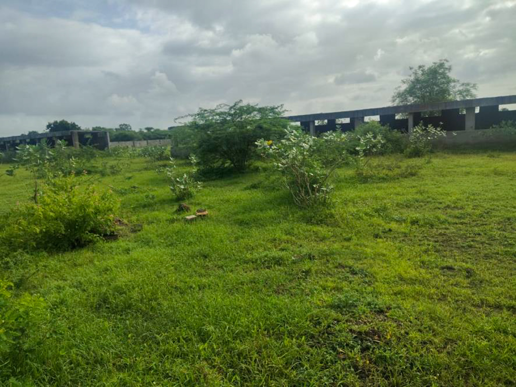 Individual House for sale in JAMNAGAR Jamnagar — photo 10