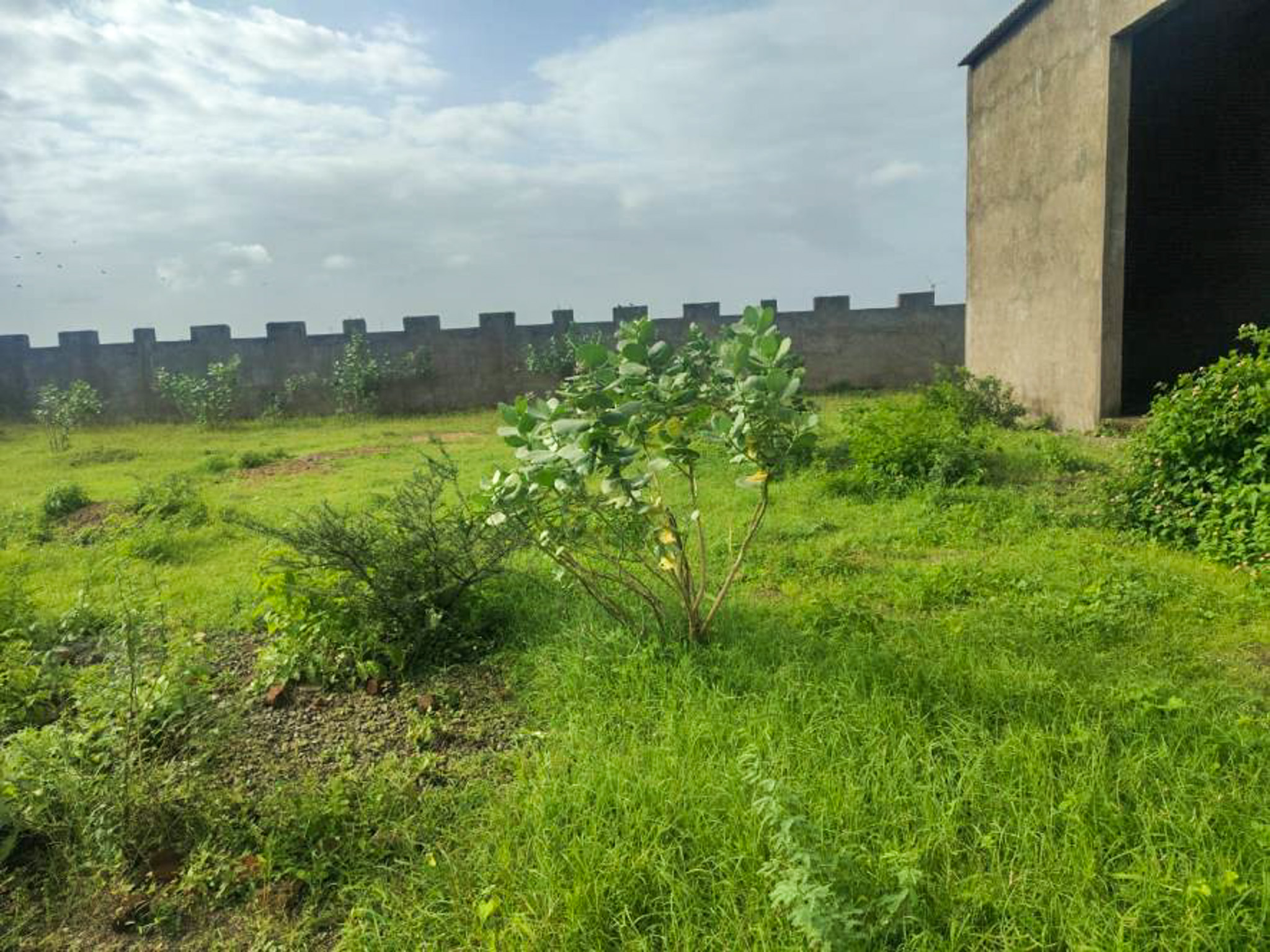 Individual House for sale in JAMNAGAR Jamnagar — photo 14