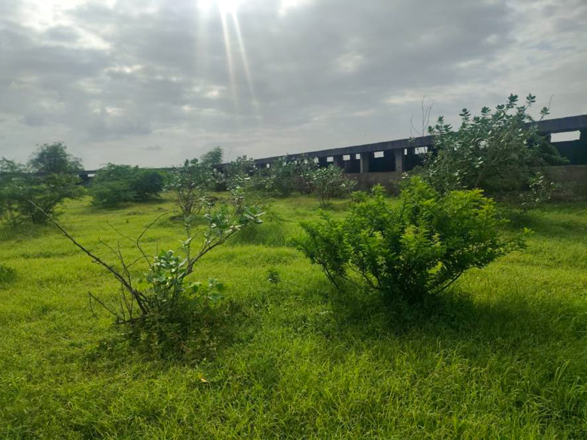 Individual House for sale in JAMNAGAR Jamnagar — photo 12