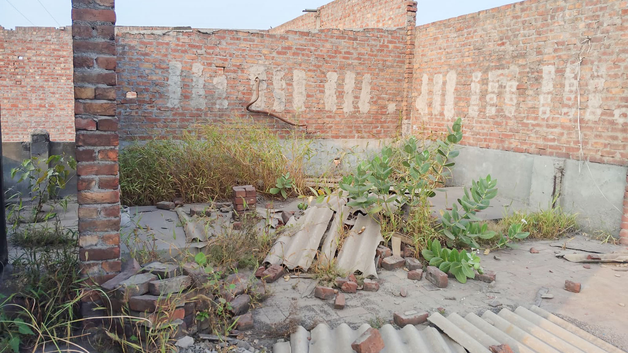 Industrial Shed for sale in Jalandhar — photo 9