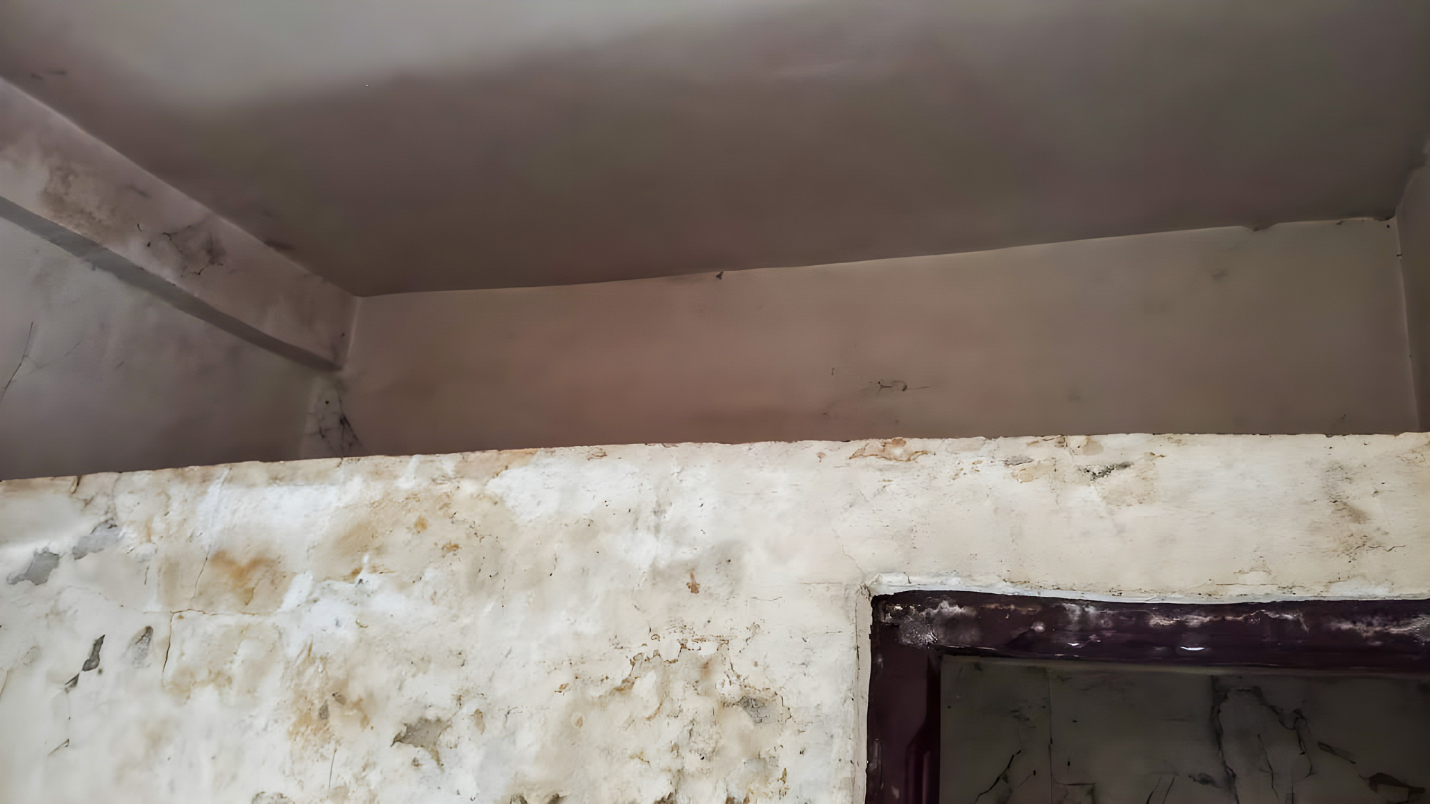 40.13 square meter Individual House for sale in dastan — photo 14