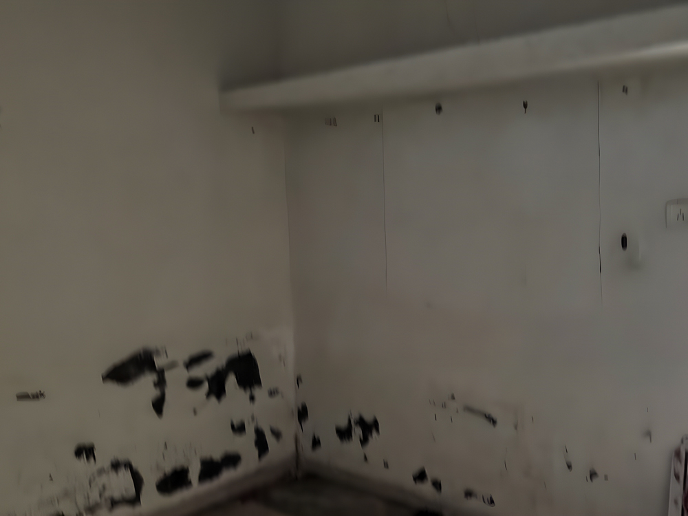 40.18 square meter Individual House for sale in dastan — photo 4
