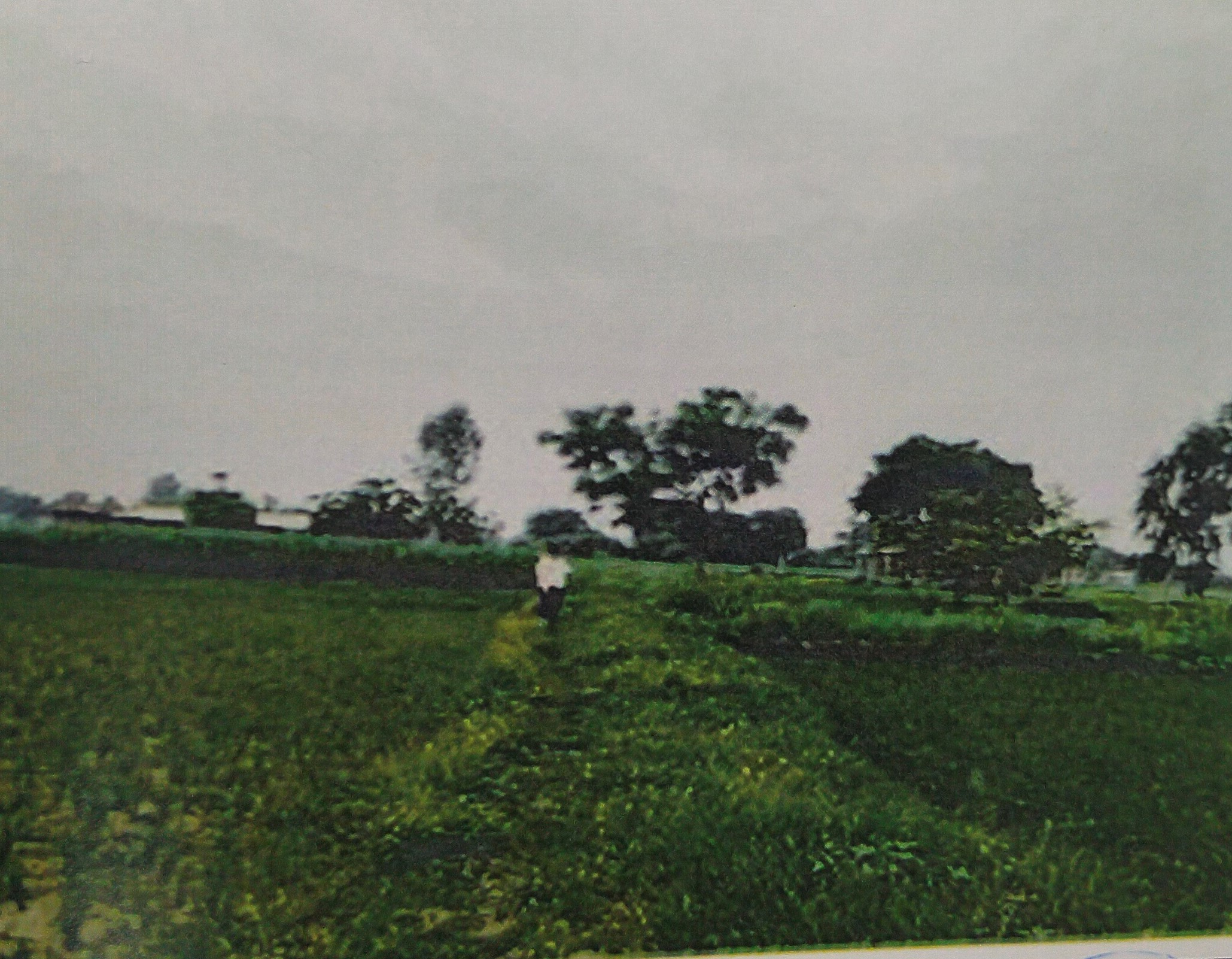 Plot for sale in Nizamabad — photo 2