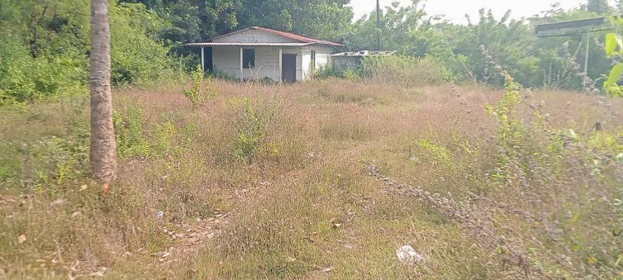 Shed with Plant and Machinery for sale in Barkur — photo 22