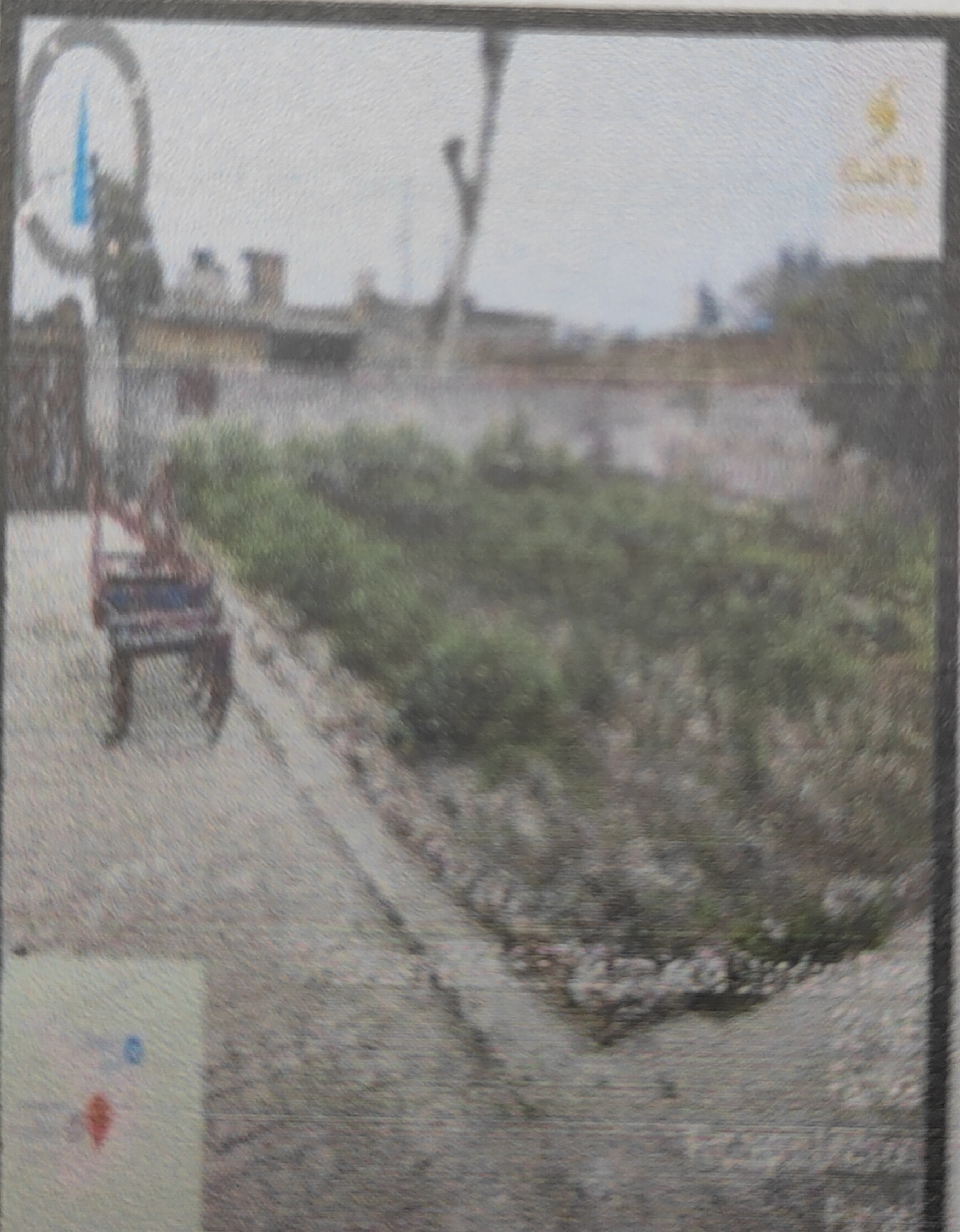 5063.86 square feet Plot for sale in Mandi Ladhuka Fazilka — photo 2