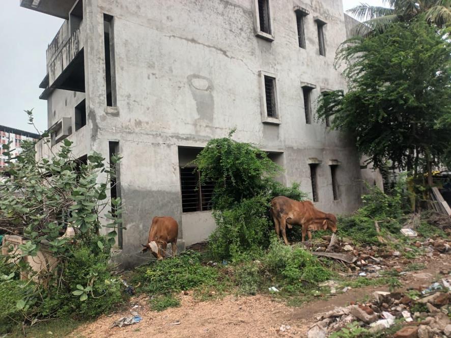 306.55 square meter Individual House for sale in Nilam Society, Residential Dahod — photo 29