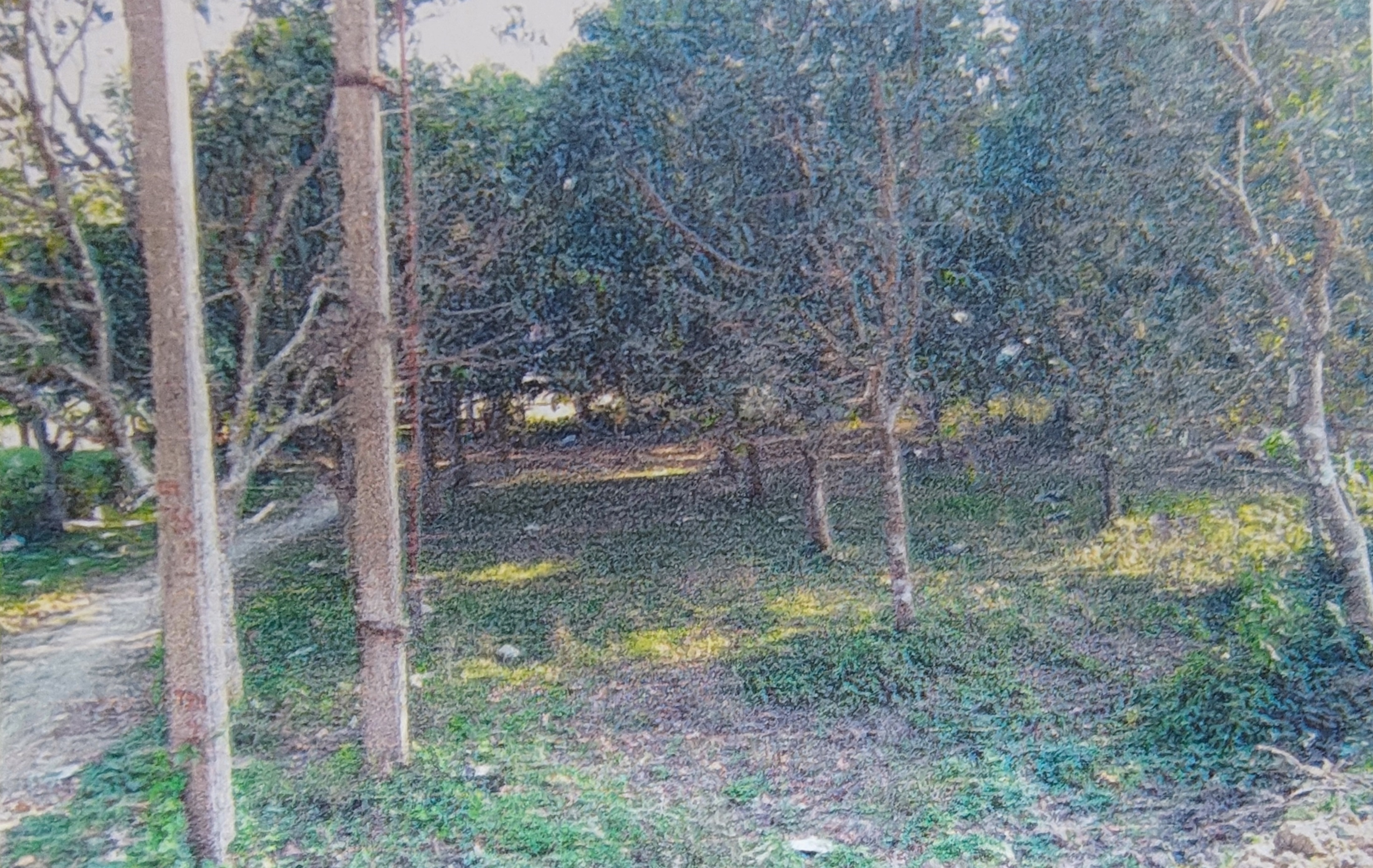 Plot for sale in Naduria Badkulla — photo 2