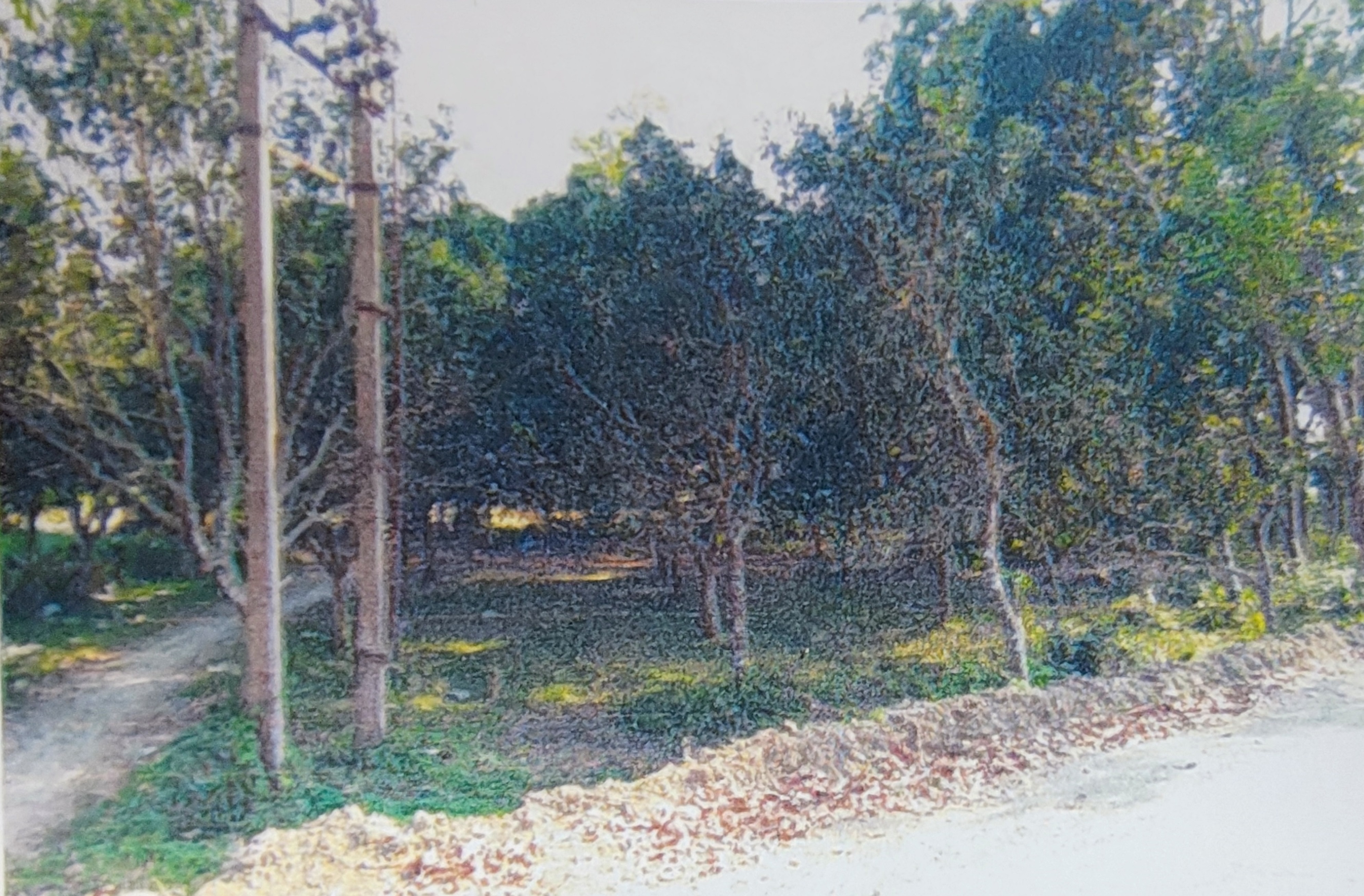 Plot for sale in Naduria Badkulla — photo 1