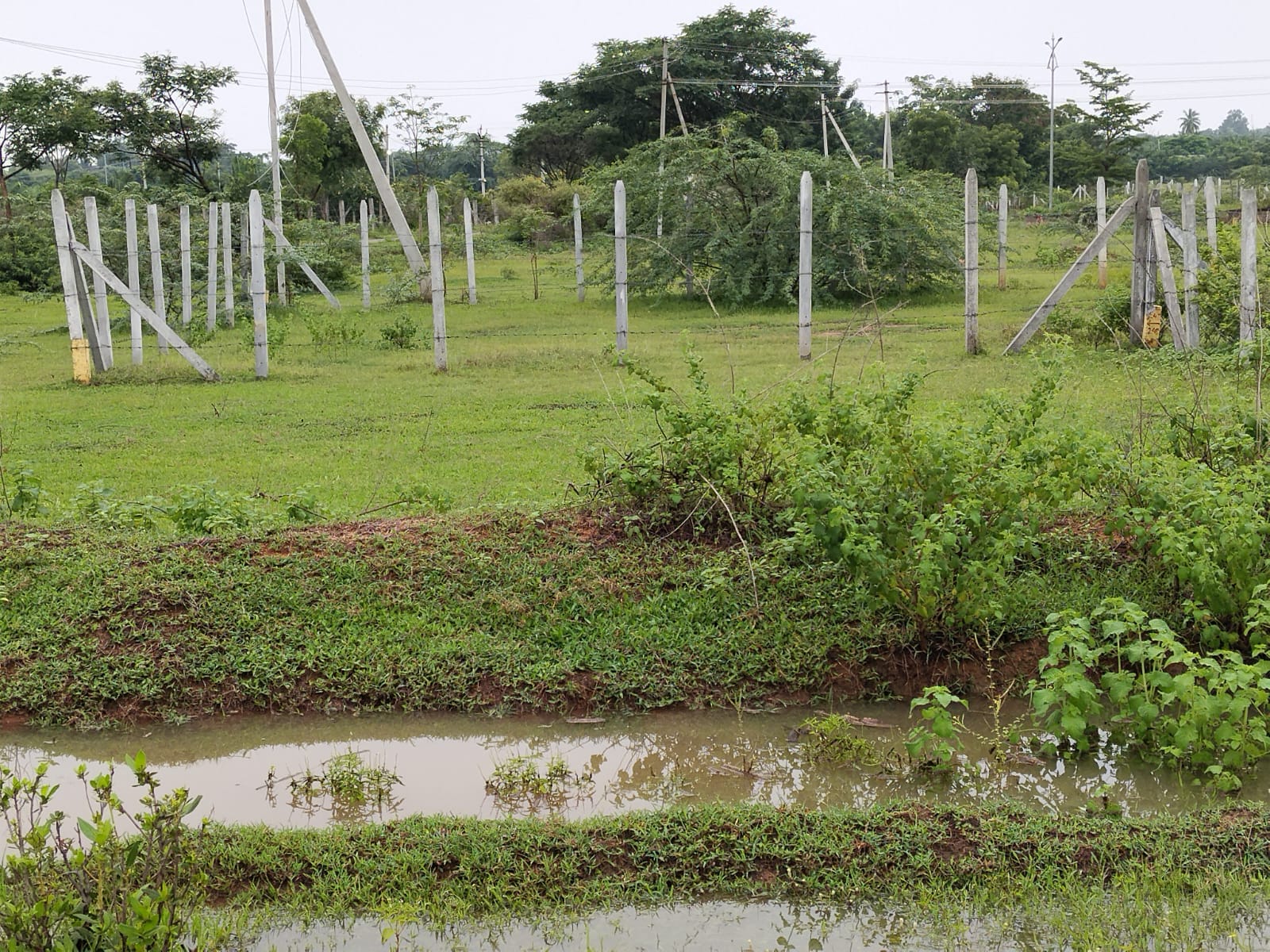 1008.88 square yard Plot for sale in Nalgonda — photo 6