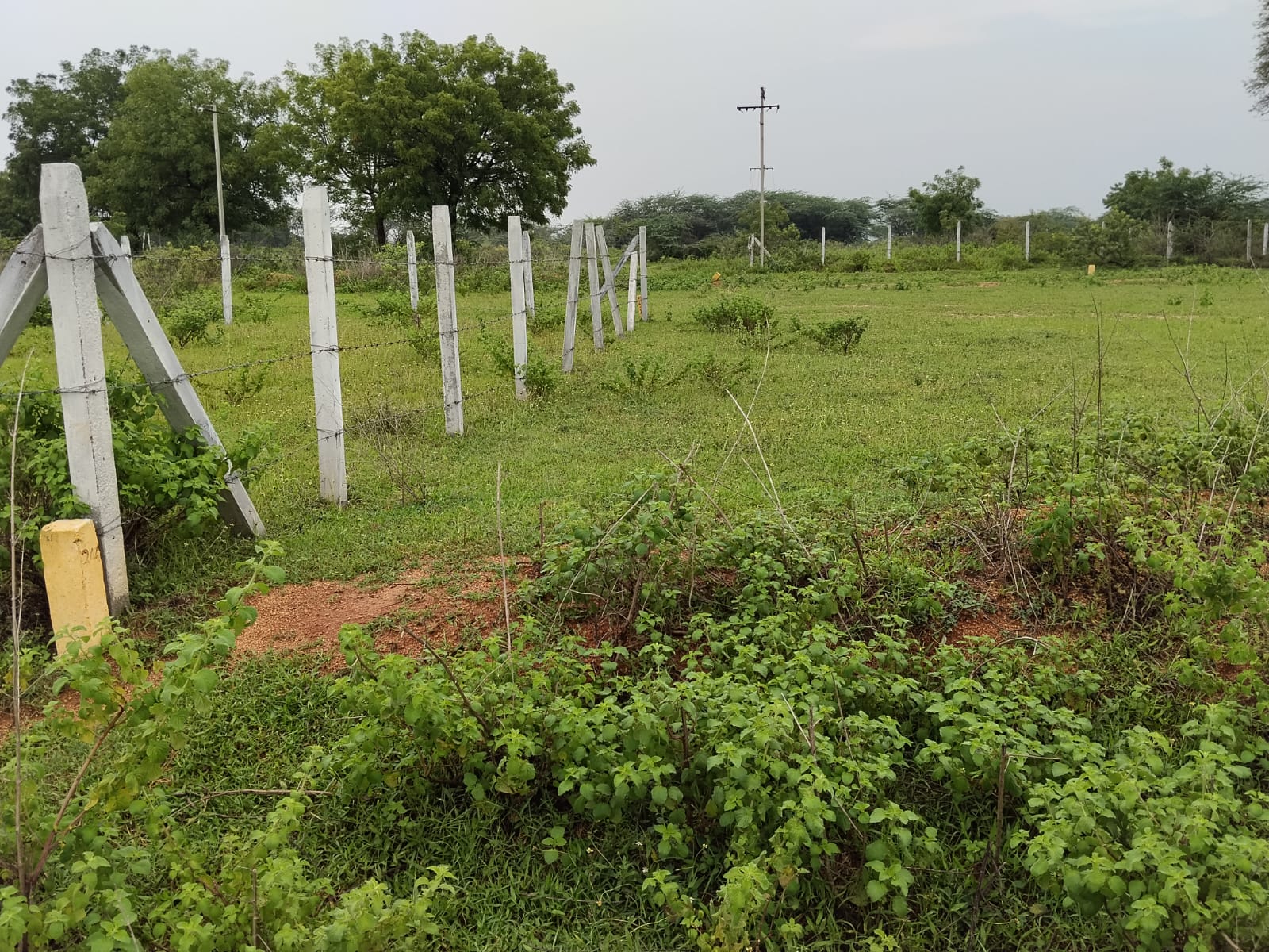 1008.88 square yard Plot for sale in Nalgonda — photo 3