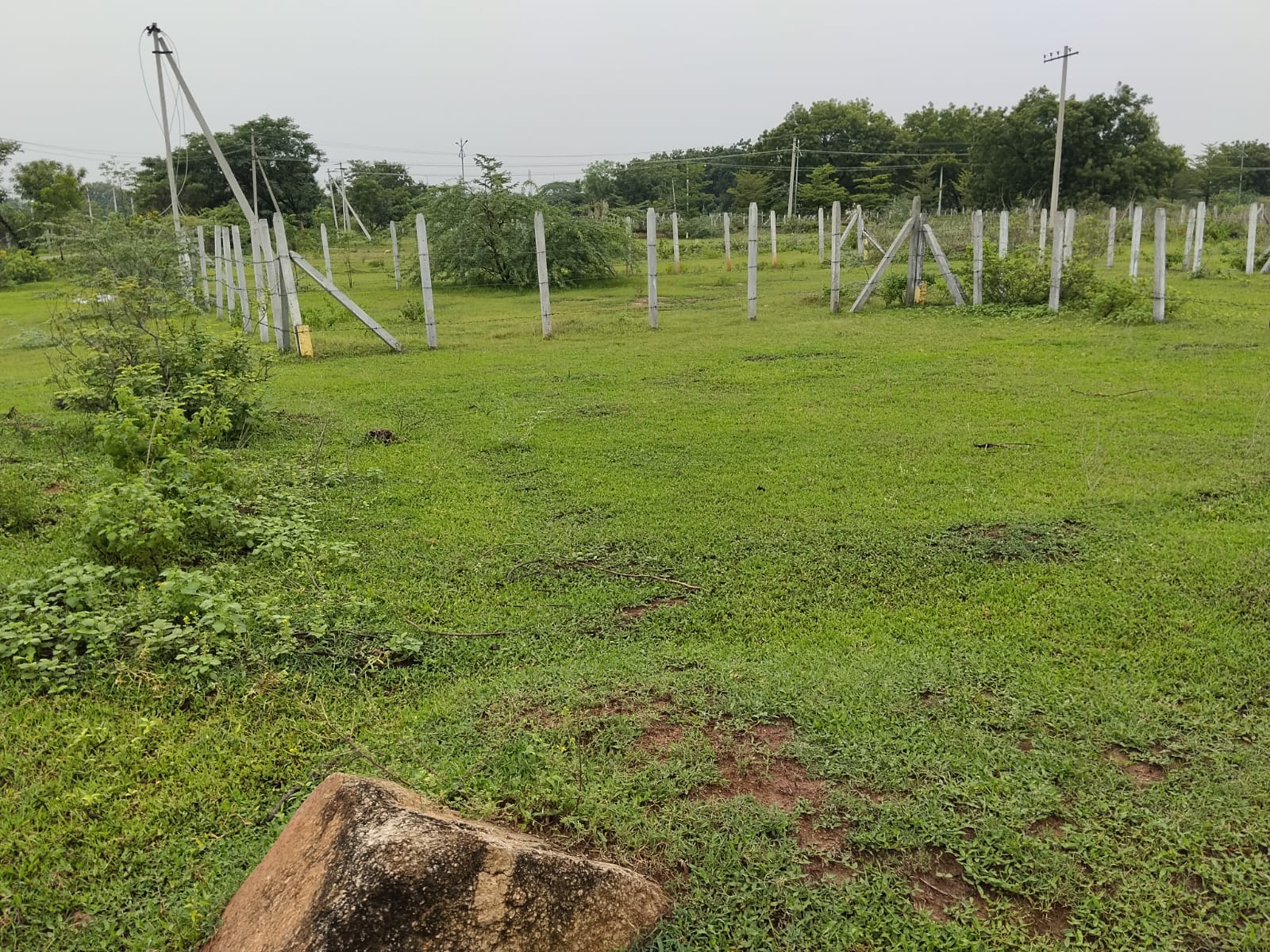 1008.88 square yard Plot for sale in Nalgonda — photo 1