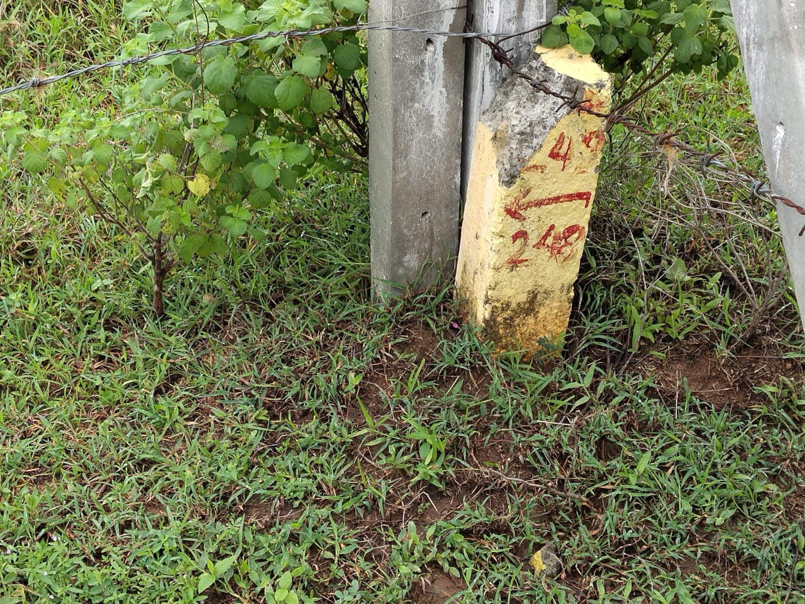 1008.88 square yard Plot for sale in Nalgonda — photo 2