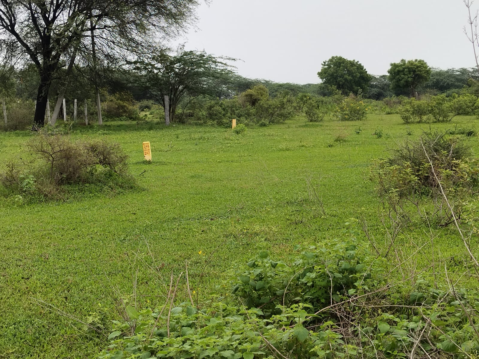 1008.88 square yard Plot for sale in Nalgonda — photo 4