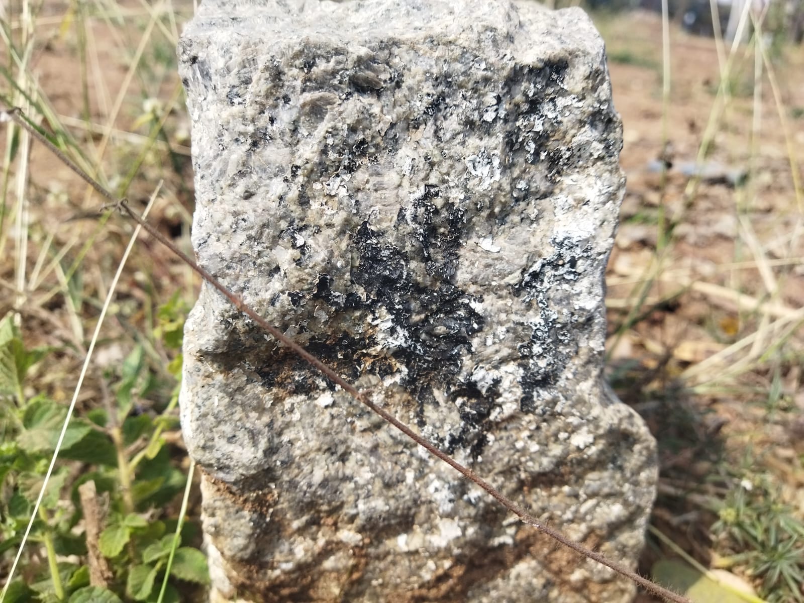 300 square yard Plot for sale in SRI SAI PANCHAVATI ENCLAVE, Satellite town, Near Suraj Garden, Samshabad Village, Hyderabad, Ranga Reddy District. Hyderabad — photo 7
