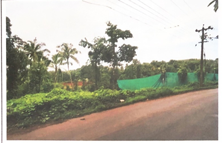 Plot for sale in ELANKUR Manjeri