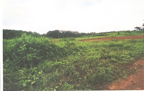 Plot for sale in ELANKUR Manjeri