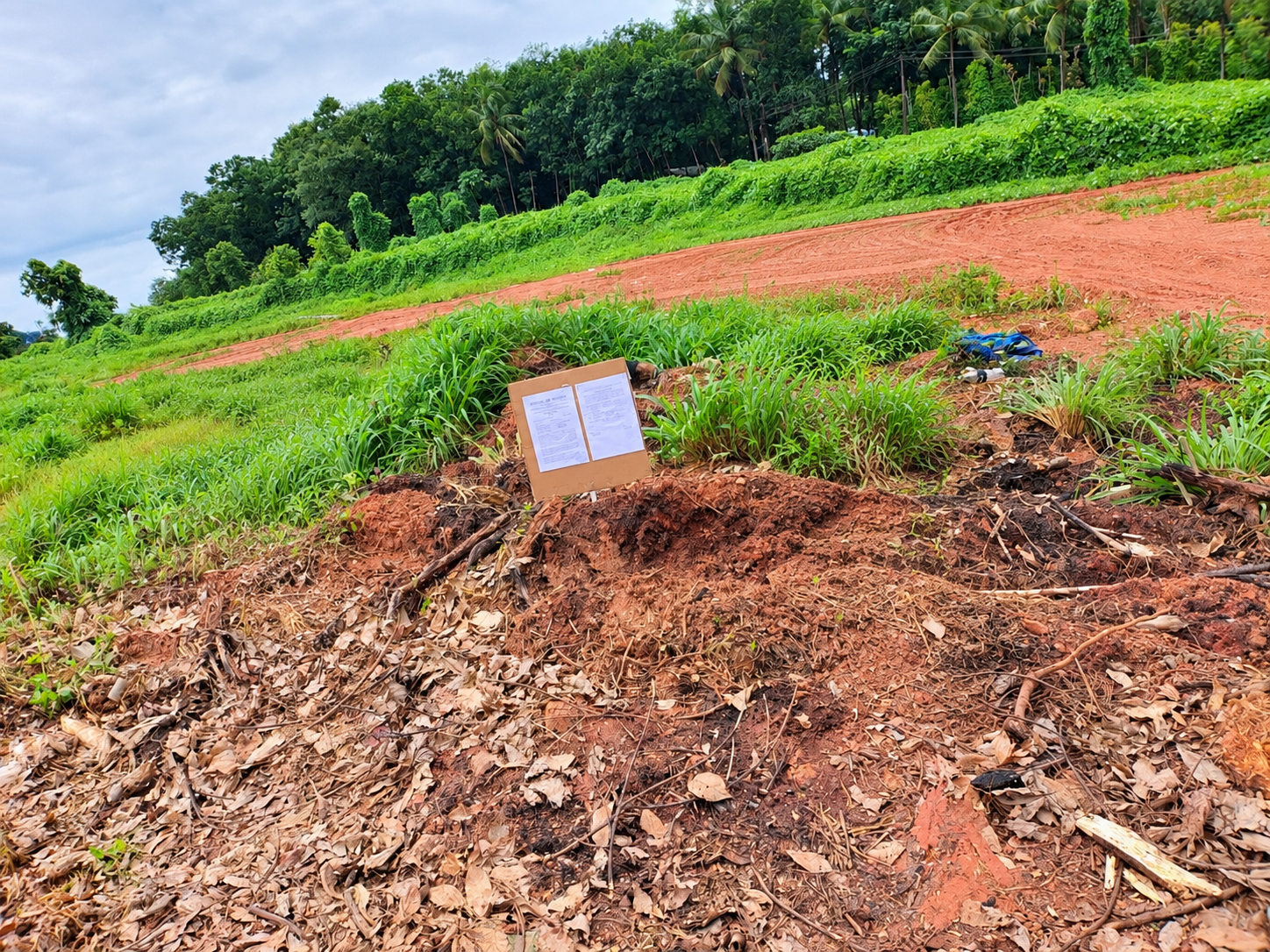 Plot for sale in ELANKUR Manjeri — photo 2