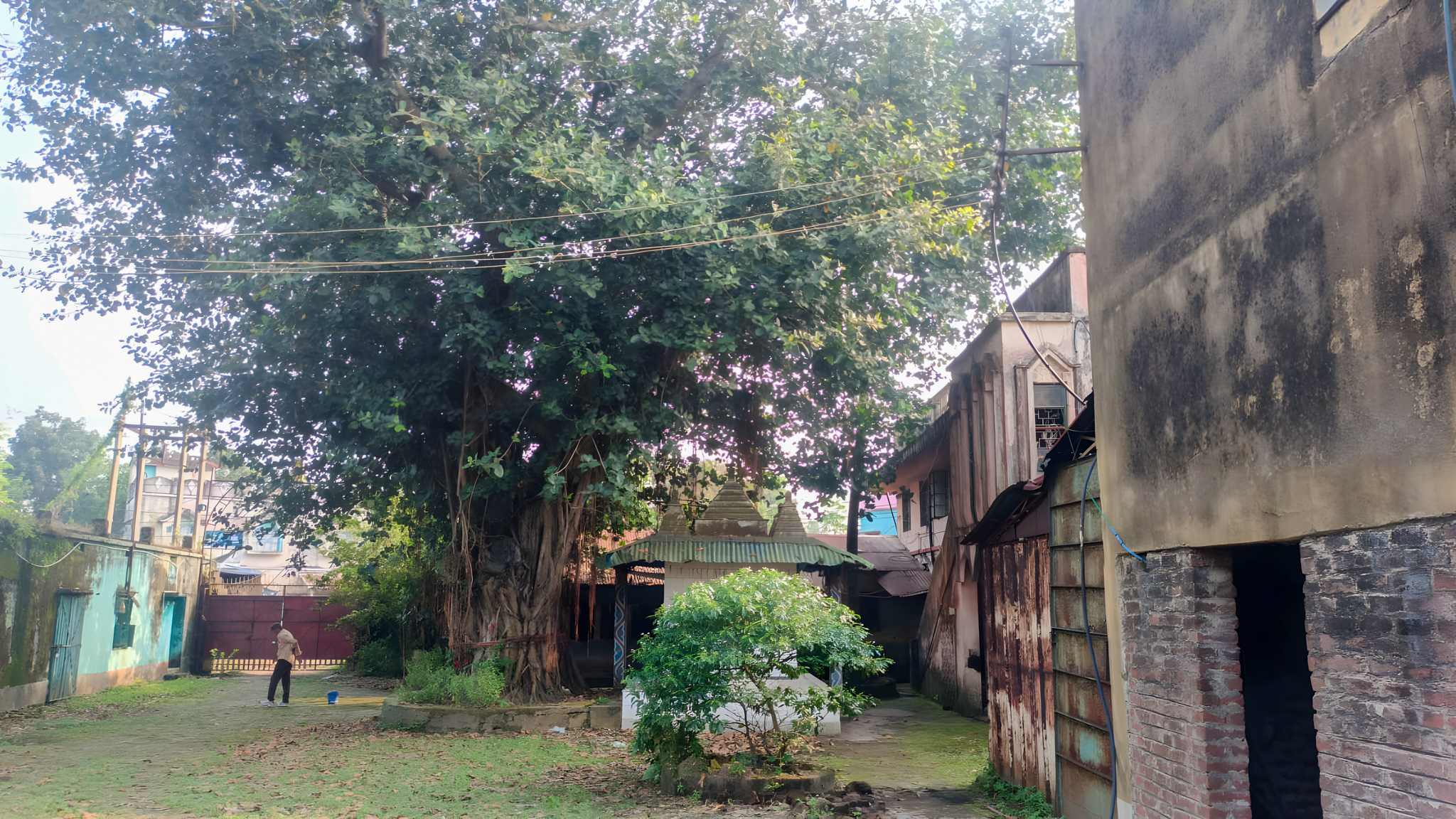 Shed with Plant and Machinery for sale in Guskara — photo 7