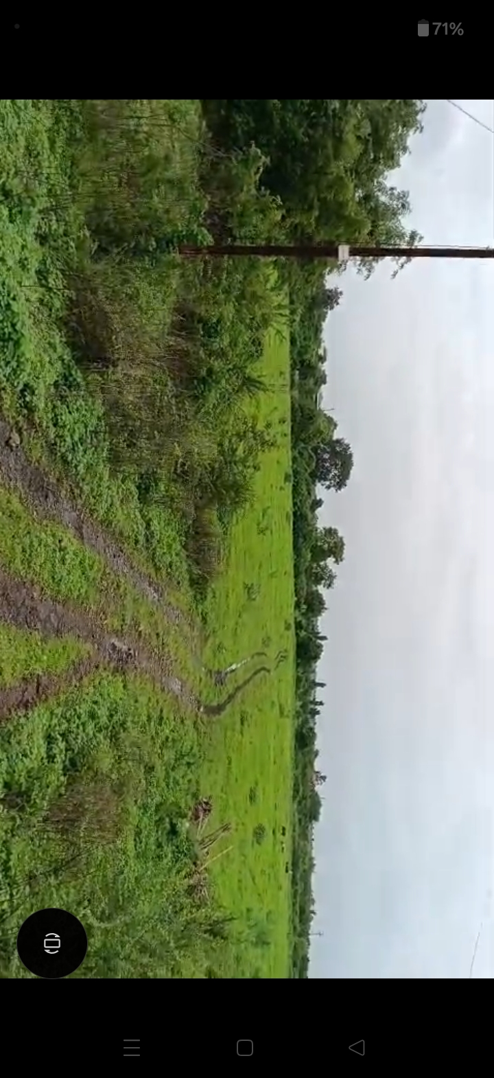 11145 square meter Plot for sale in Chandur — photo 2