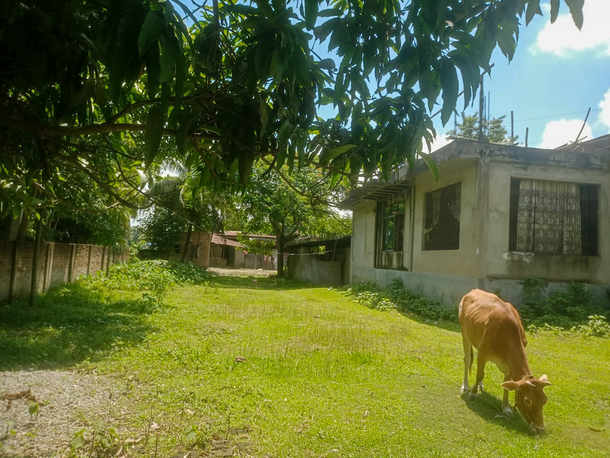 Individual House for sale in Dhing — photo 6