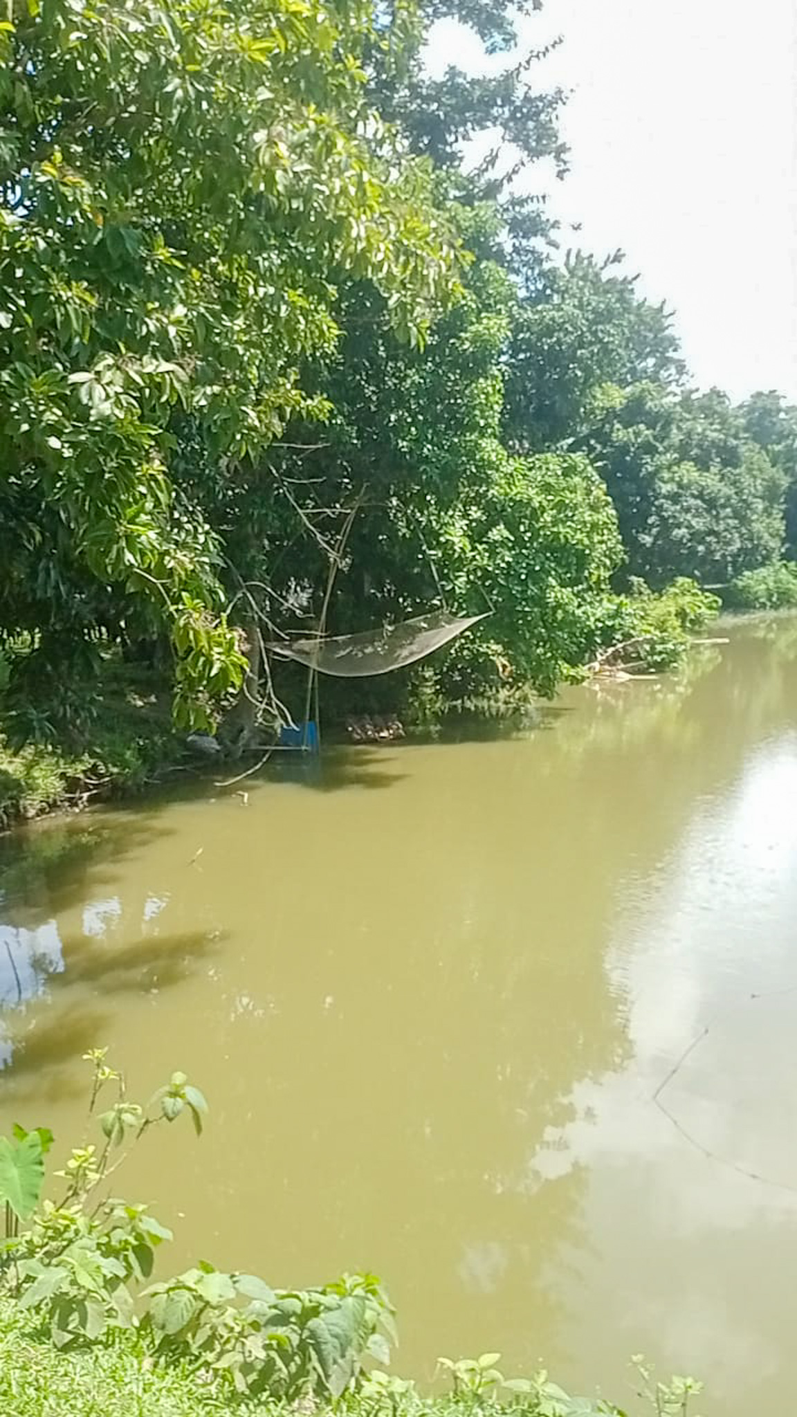 Individual House for sale in Dhing — photo 21