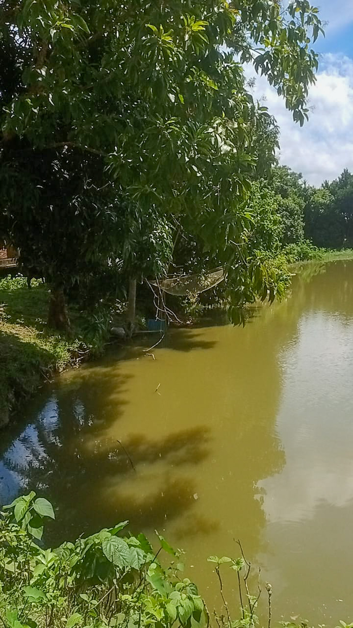 Individual House for sale in Dhing — photo 22