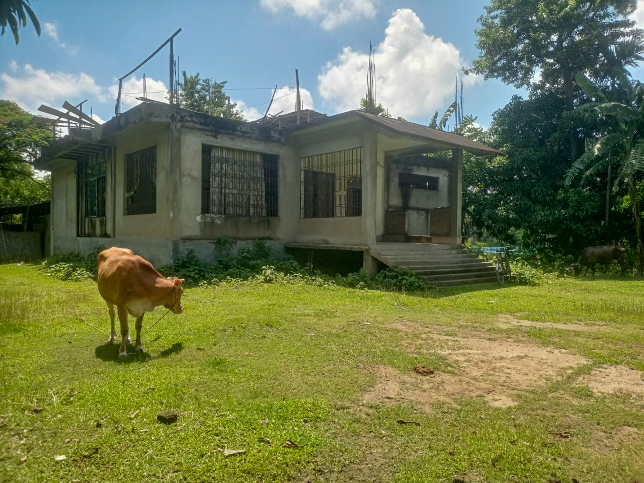 Individual House for sale in Dhing — photo 11