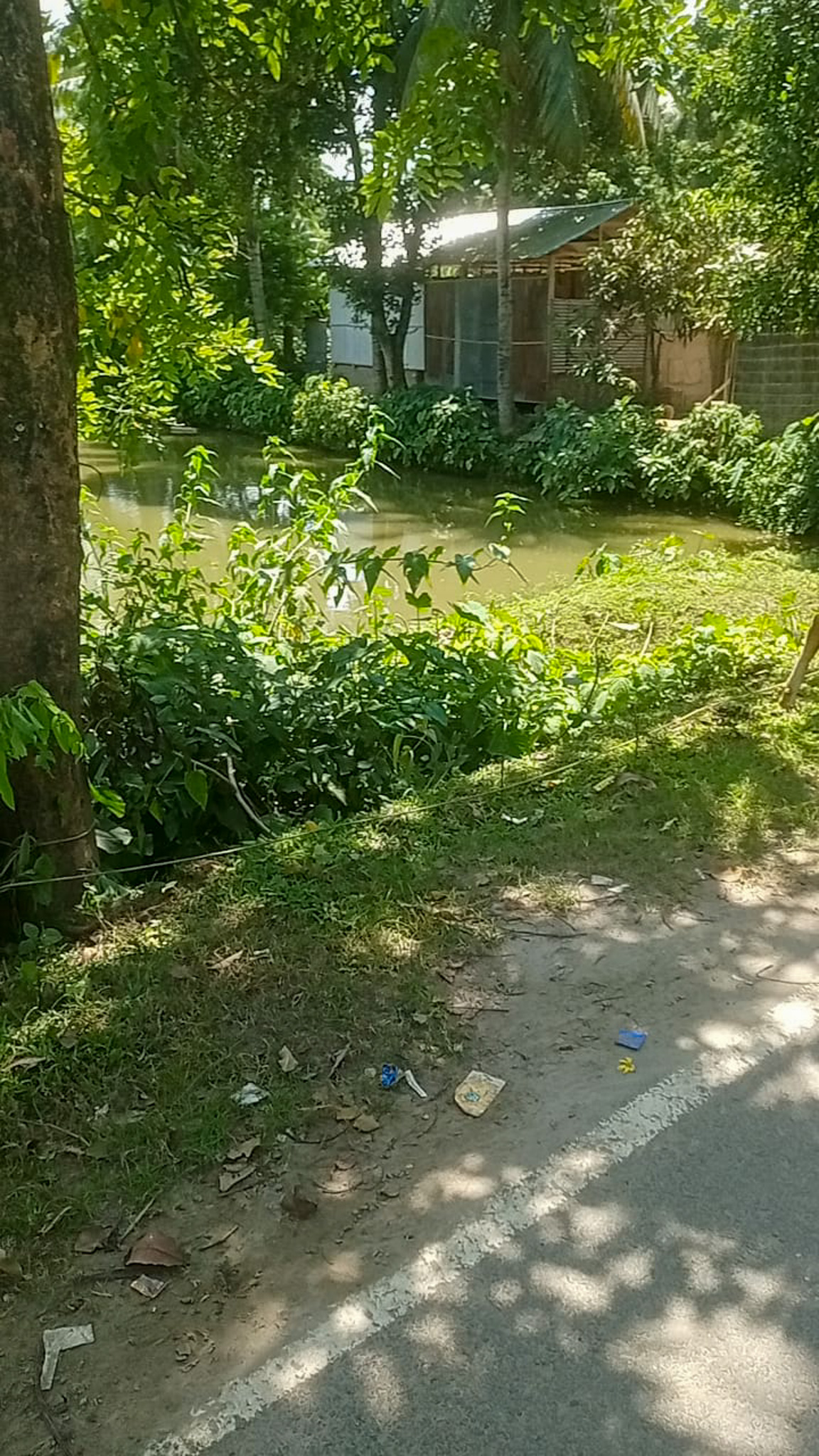 Individual House for sale in Dhing — photo 18