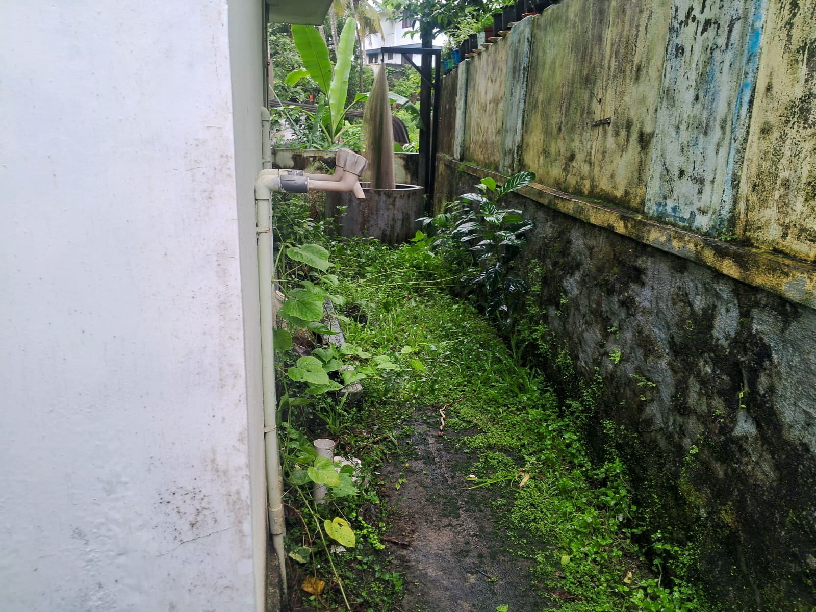 5 BHK Individual House for sale in House, Thiruvananthapuram Parasuvaikkal — photo 13