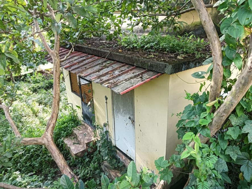 Individual House for sale in ALIMUKKU Punalur — photo 20