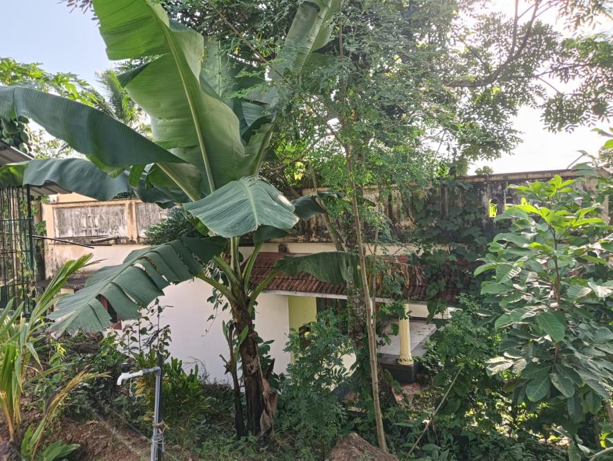 Individual House for sale in ALIMUKKU Punalur — photo 16