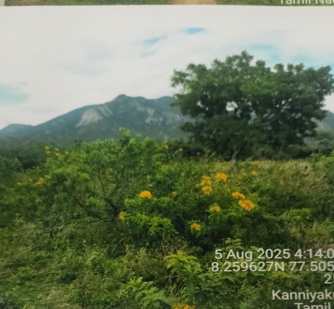 Plot for sale in Aralvaimozhi — photo 3
