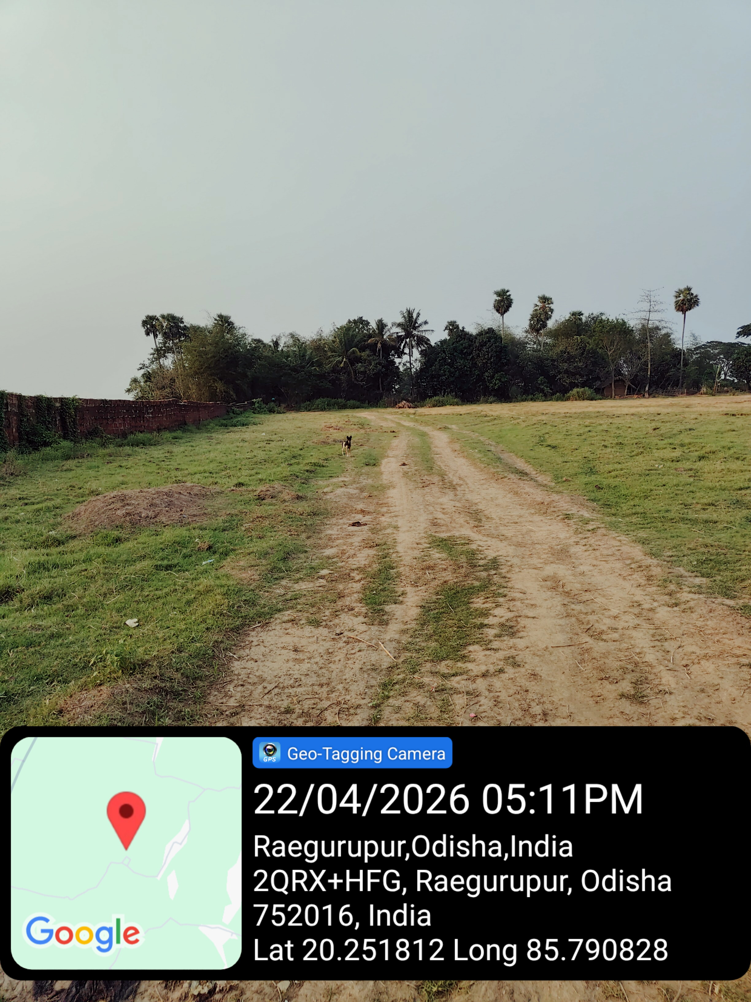 Plot for sale in Rural Pipili — photo 5