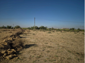 3457.37 square meter Plot for sale in Bhachau