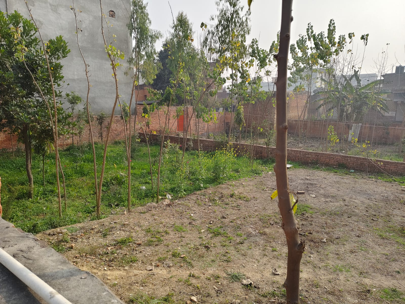 Plot for sale in Ramdaspur Urf Nagal — photo 3