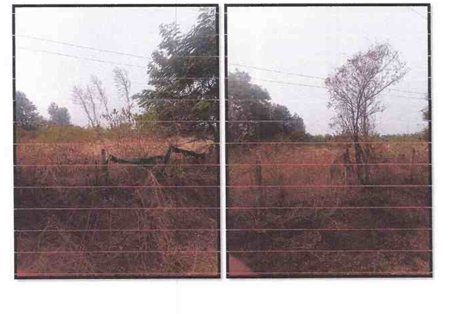 1 BHK Plot for sale in N.A Open Plot No. 91, NASHIK Nashik — photo 3