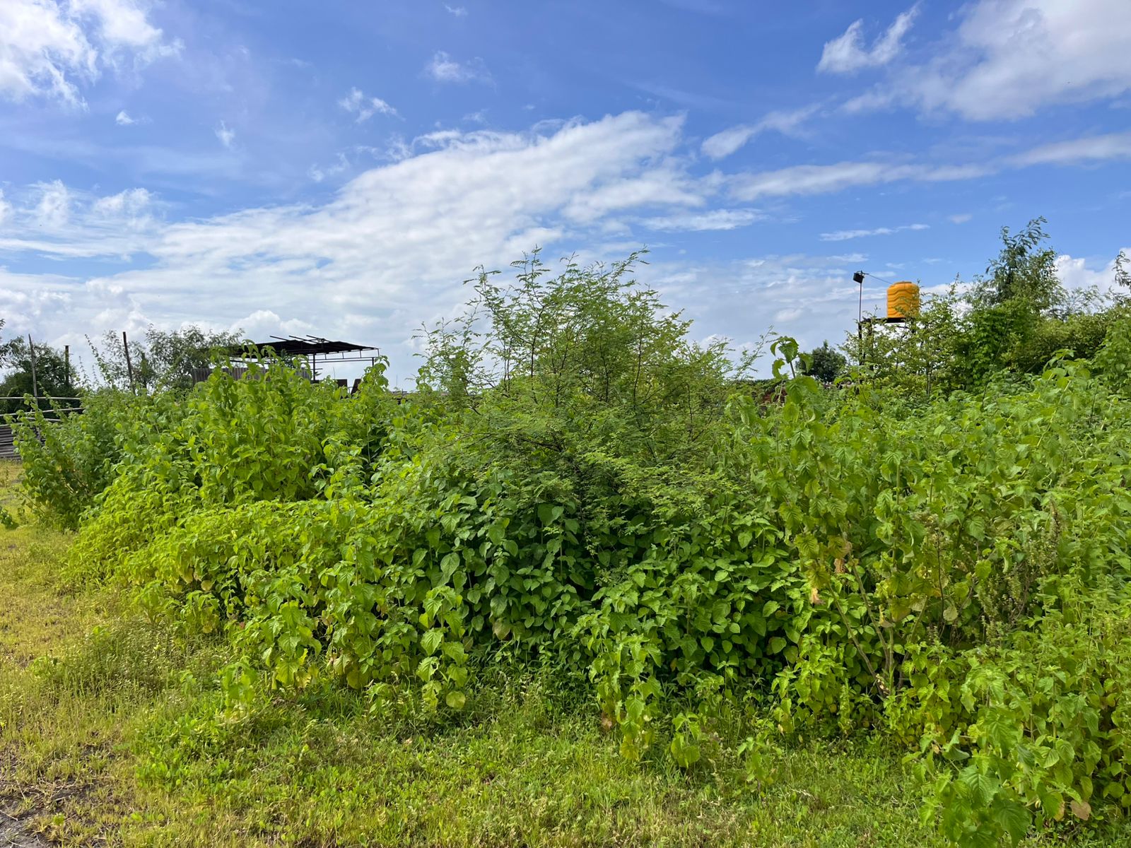 Industrial Plot with Factory Building for sale in Aklordih Bhilai — photo 7