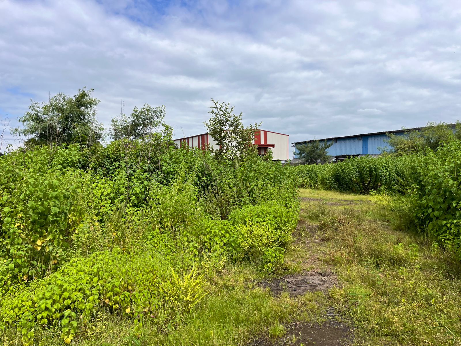 Industrial Plot with Factory Building for sale in Aklordih Bhilai — photo 9