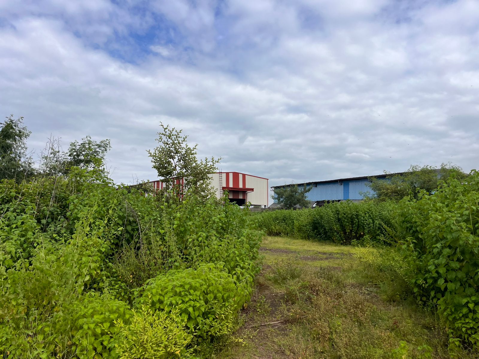 Industrial Plot with Factory Building for sale in Aklordih Bhilai — photo 10