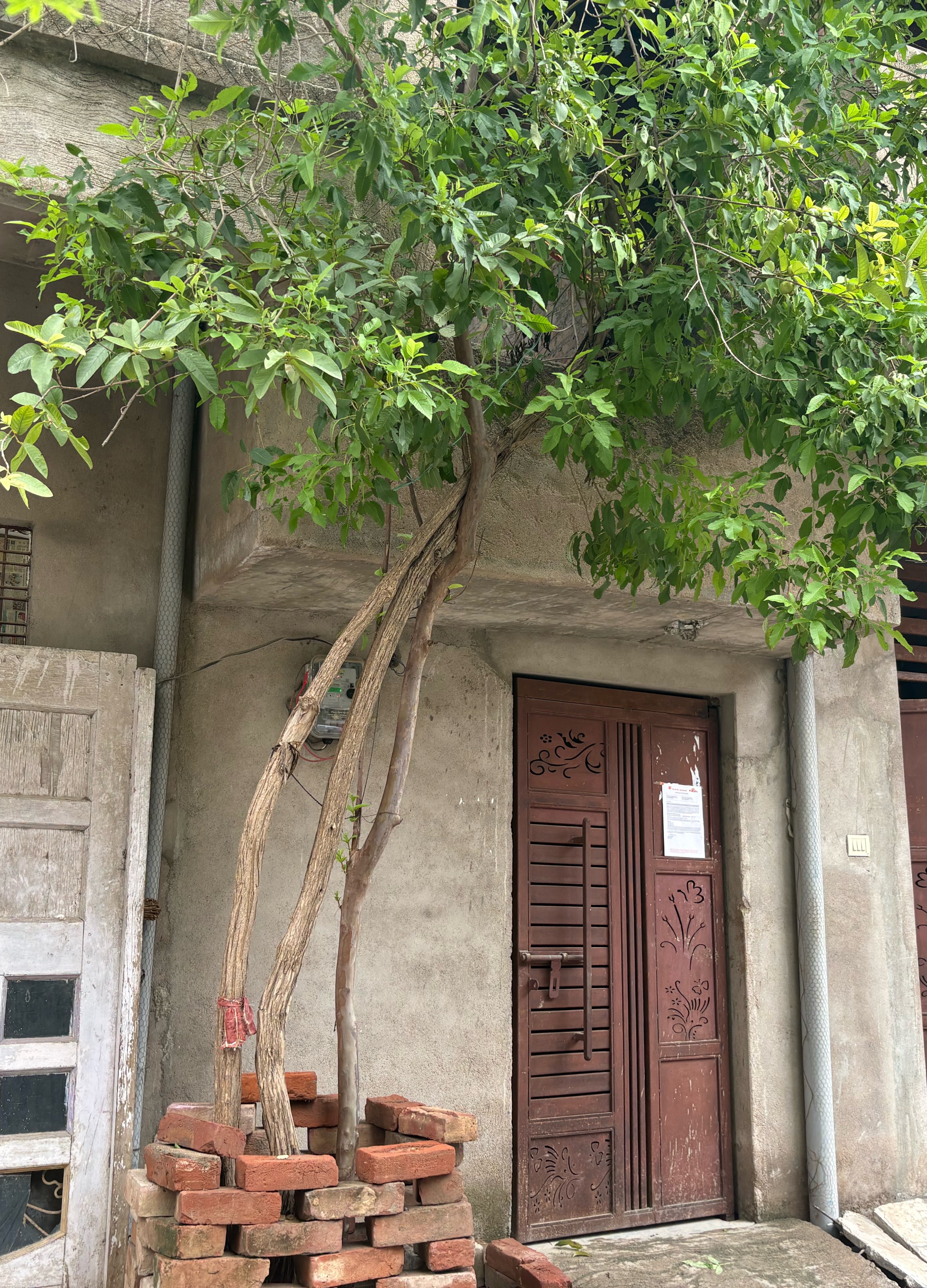 48 square meter Individual House for sale in Sanigawan Kanpur — photo 1