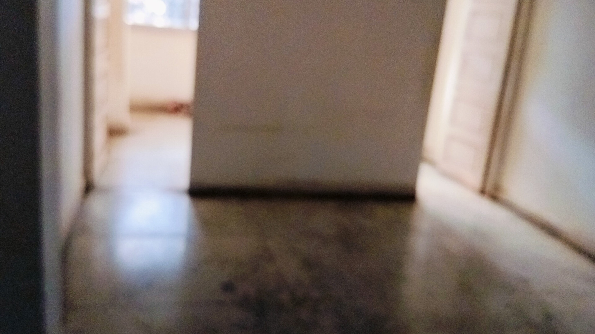 Flat for sale in Dadar Mumbai — photo 14
