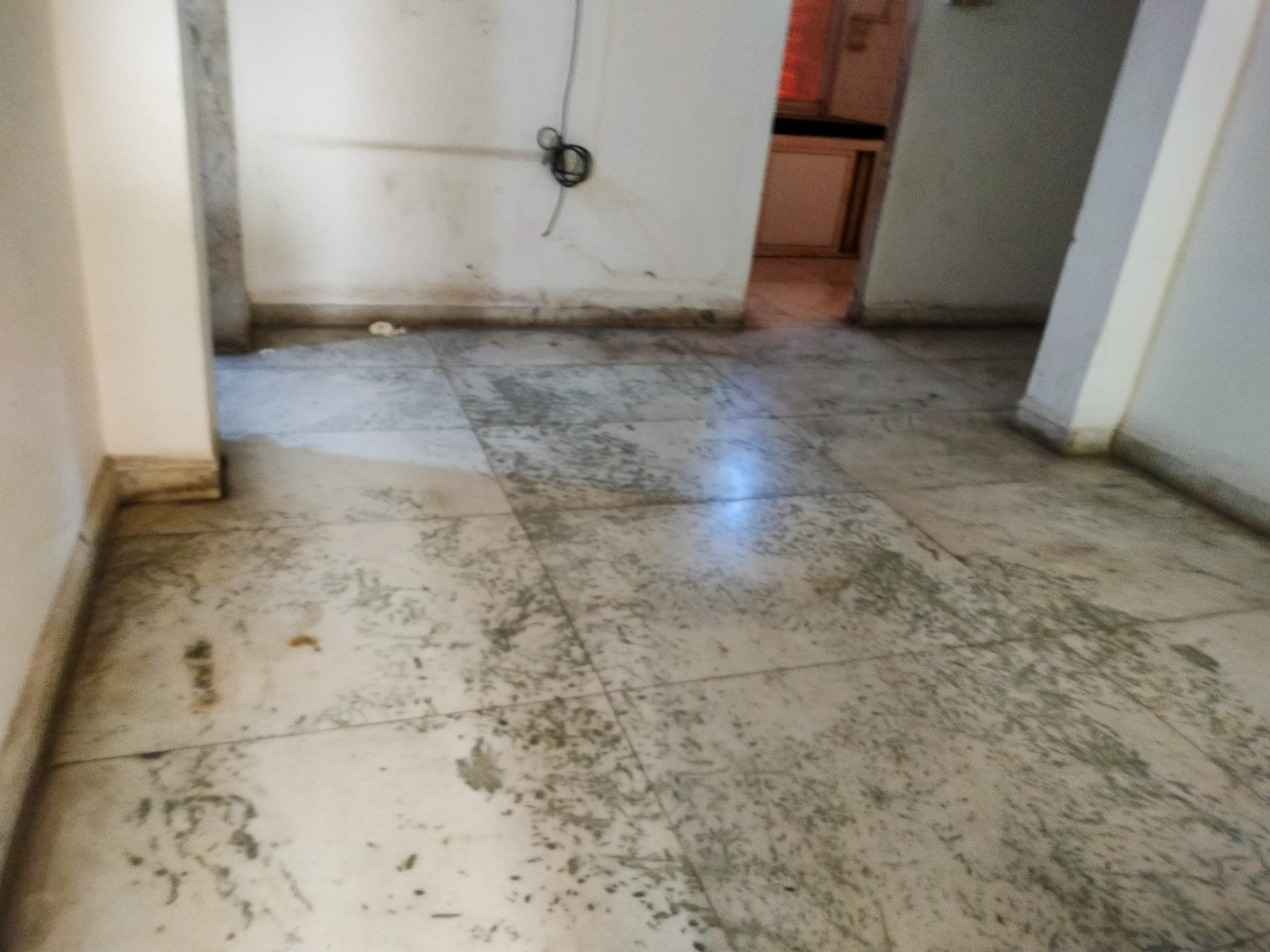 Flat for sale in Dadar Mumbai — photo 12