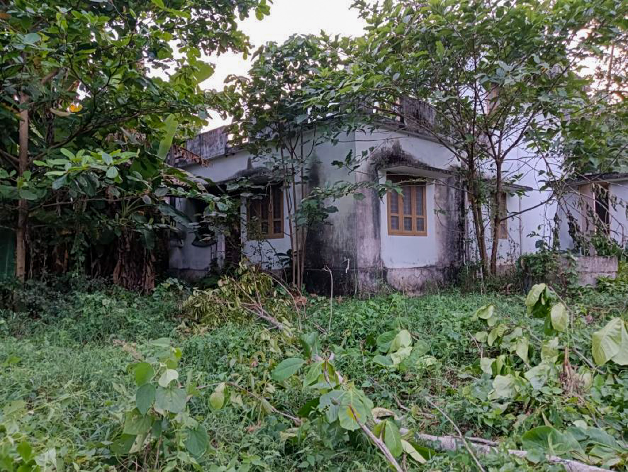 Individual House for sale in Adichanalloor — photo 2