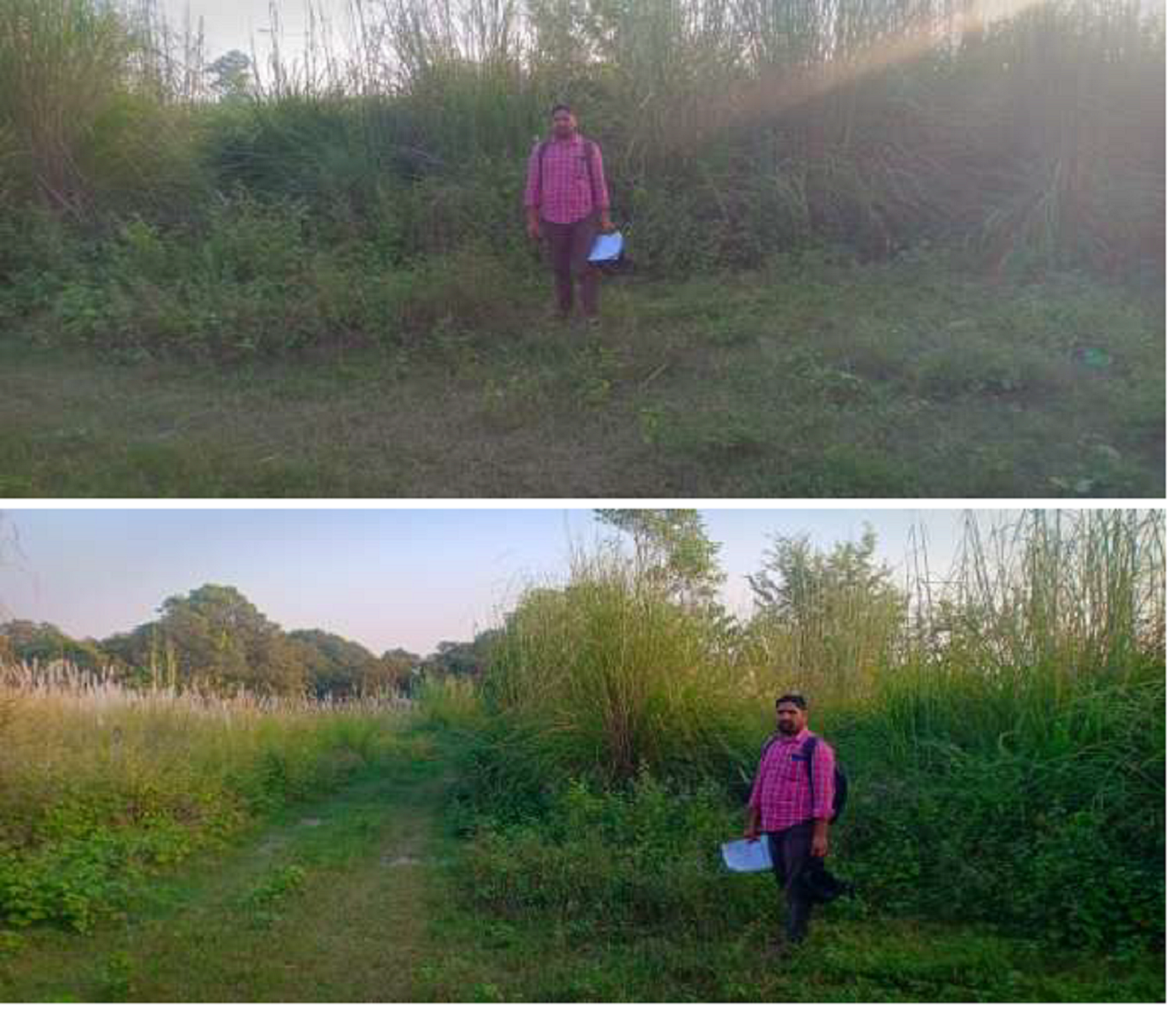 Plot for sale in Bilaspur