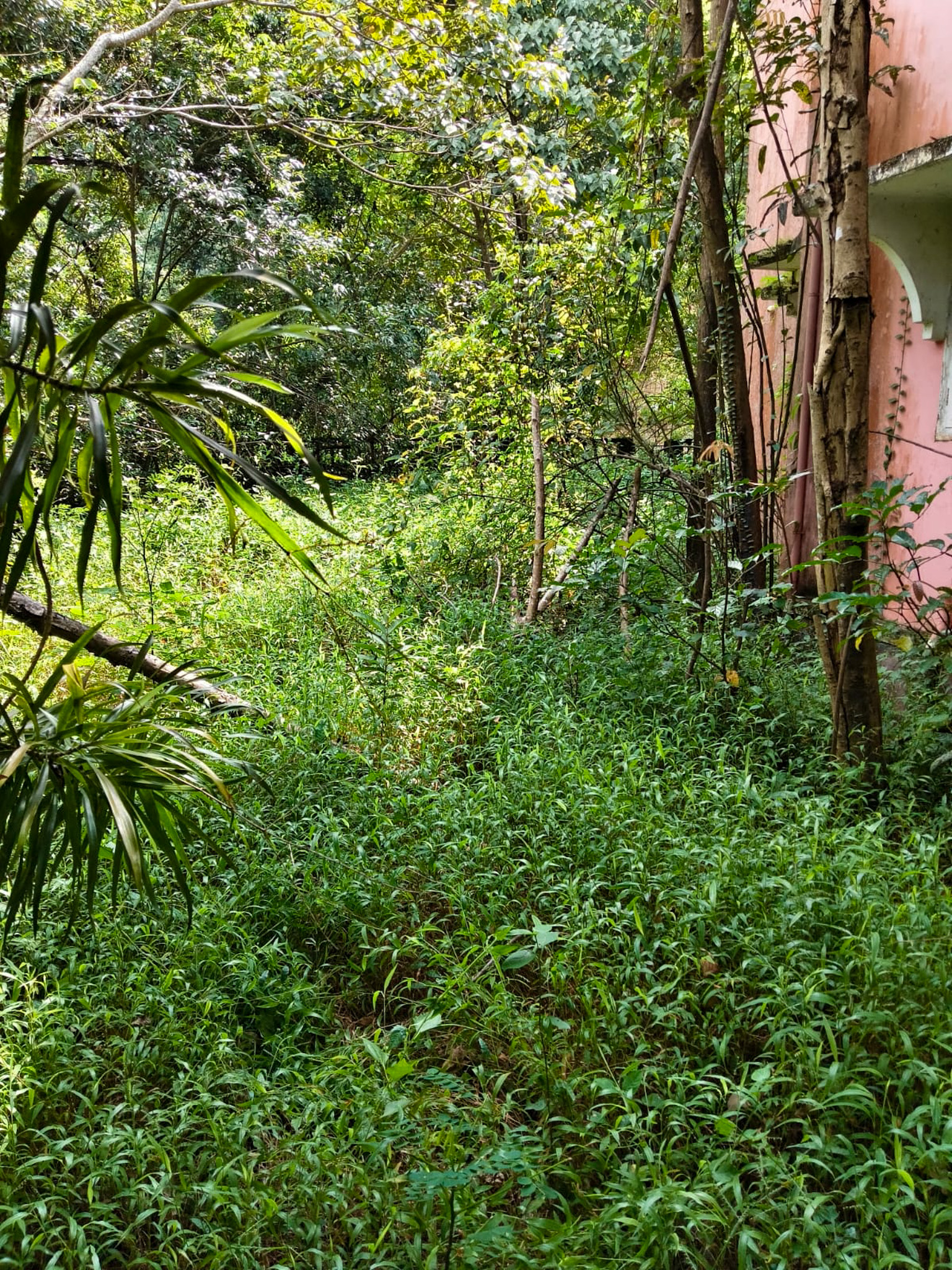 Individual House for sale in Koipady — photo 3