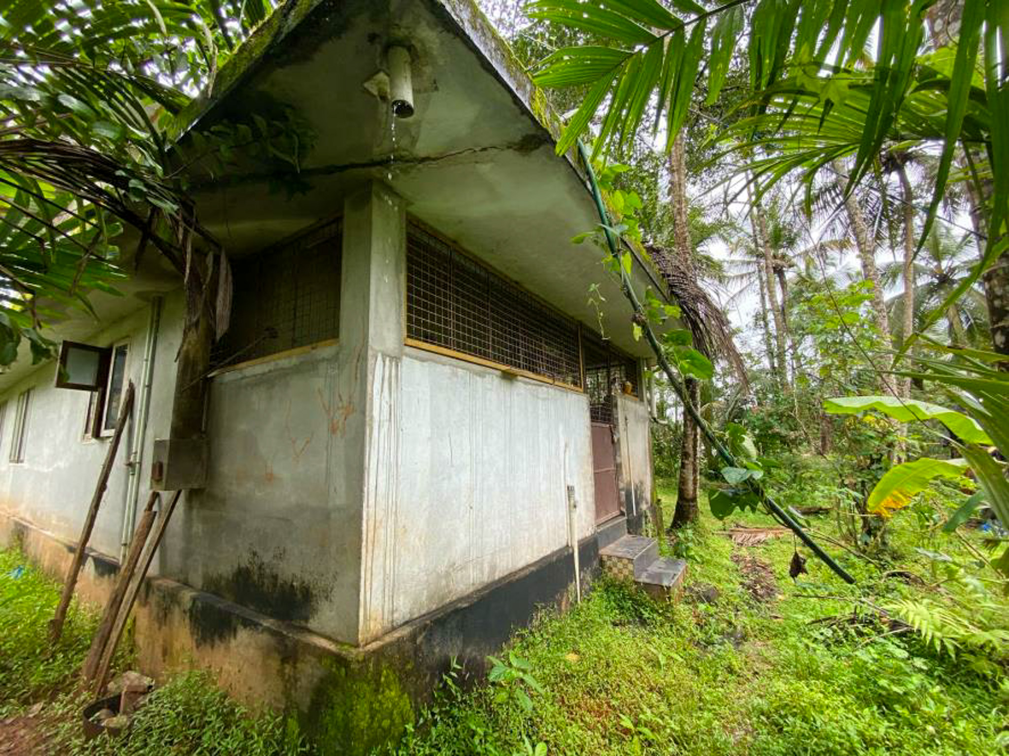 Individual House for sale in Ayancheri — photo 4