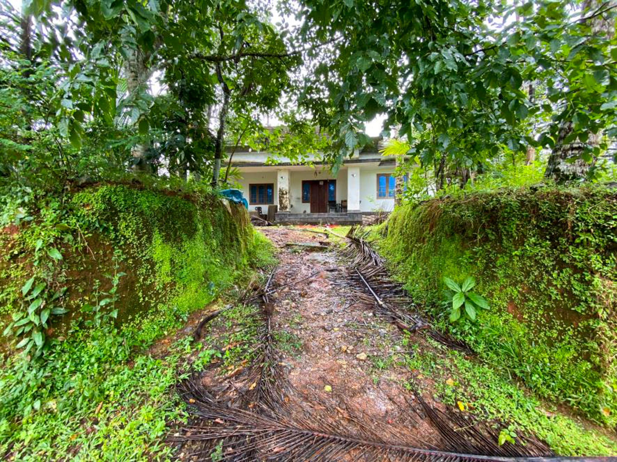 Individual House for sale in Ayancheri — photo 3